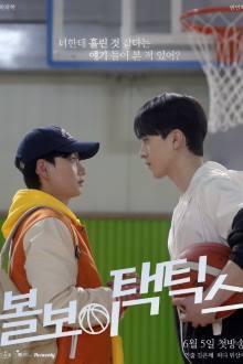 볼보이 택틱스
